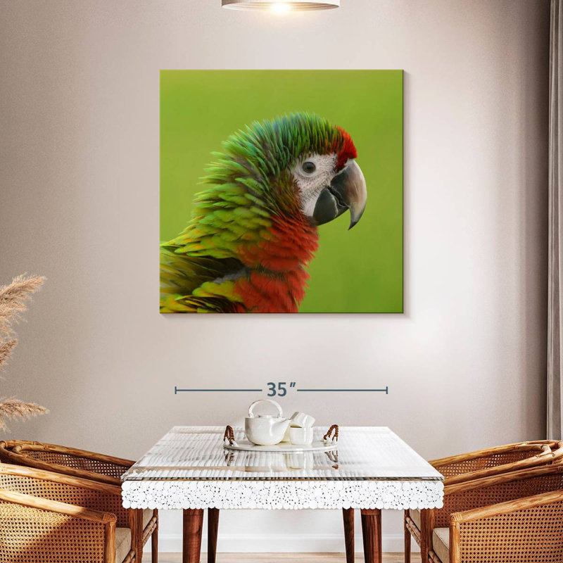 Brampt Macaw Bird Head, 39" H x 39" W