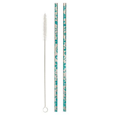 Echo Three Novelty Stainless Steel Reusable Straws