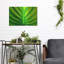 «Green Design 2» par PhotoINC Studio