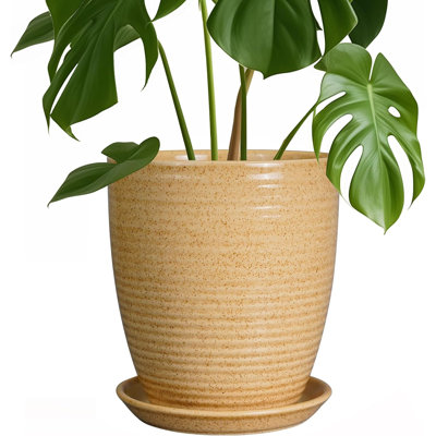 Pot de 8 pouces en céramique avec trou de drainage et soucoupe