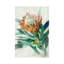 Protea par Danhui Nai - reproduction-53940371-53940373-53940360