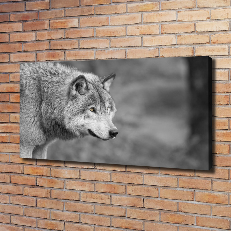 Gray Wolf - Wrapped Canvas Print
