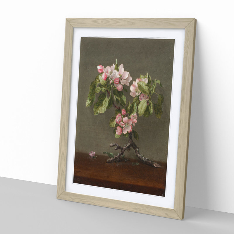 Apple Blossom Flowers by Martin Johnson Heade - Picture Frame Painting, Oak Framed, 48cm H x 36cm W x 2cm D