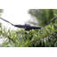 3.94' H Lighted Artificial Christmas Tree