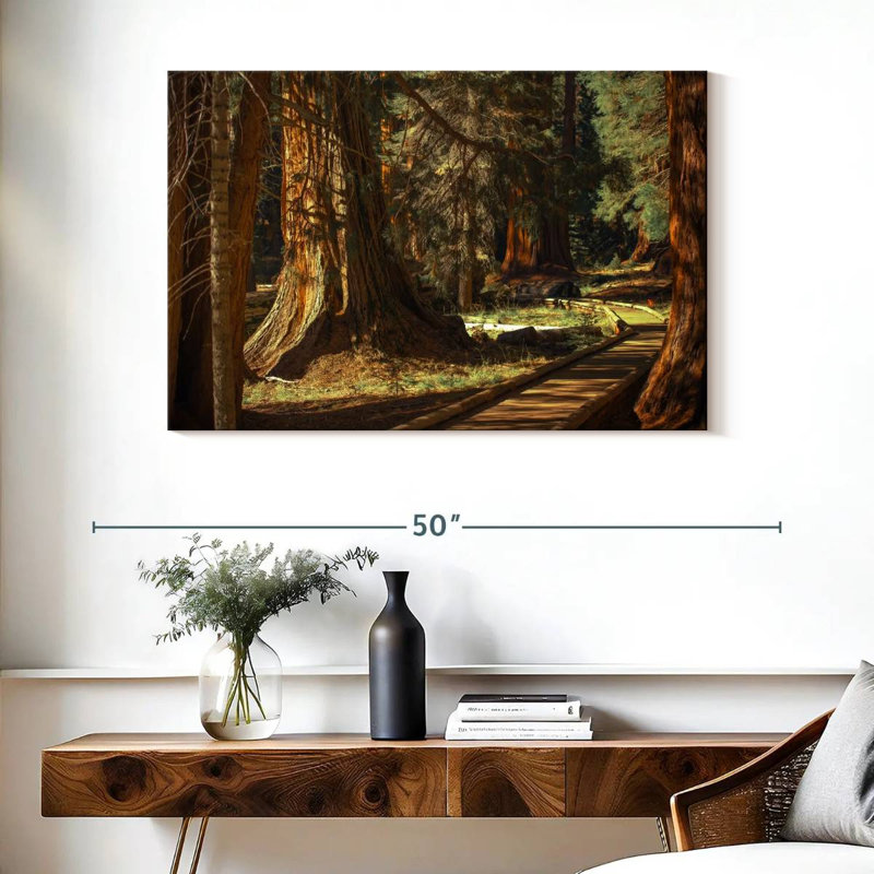 Harnek Sequoia Forest