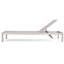 Caggiano Outdoor Metal Chaise Lounge Set-100694609