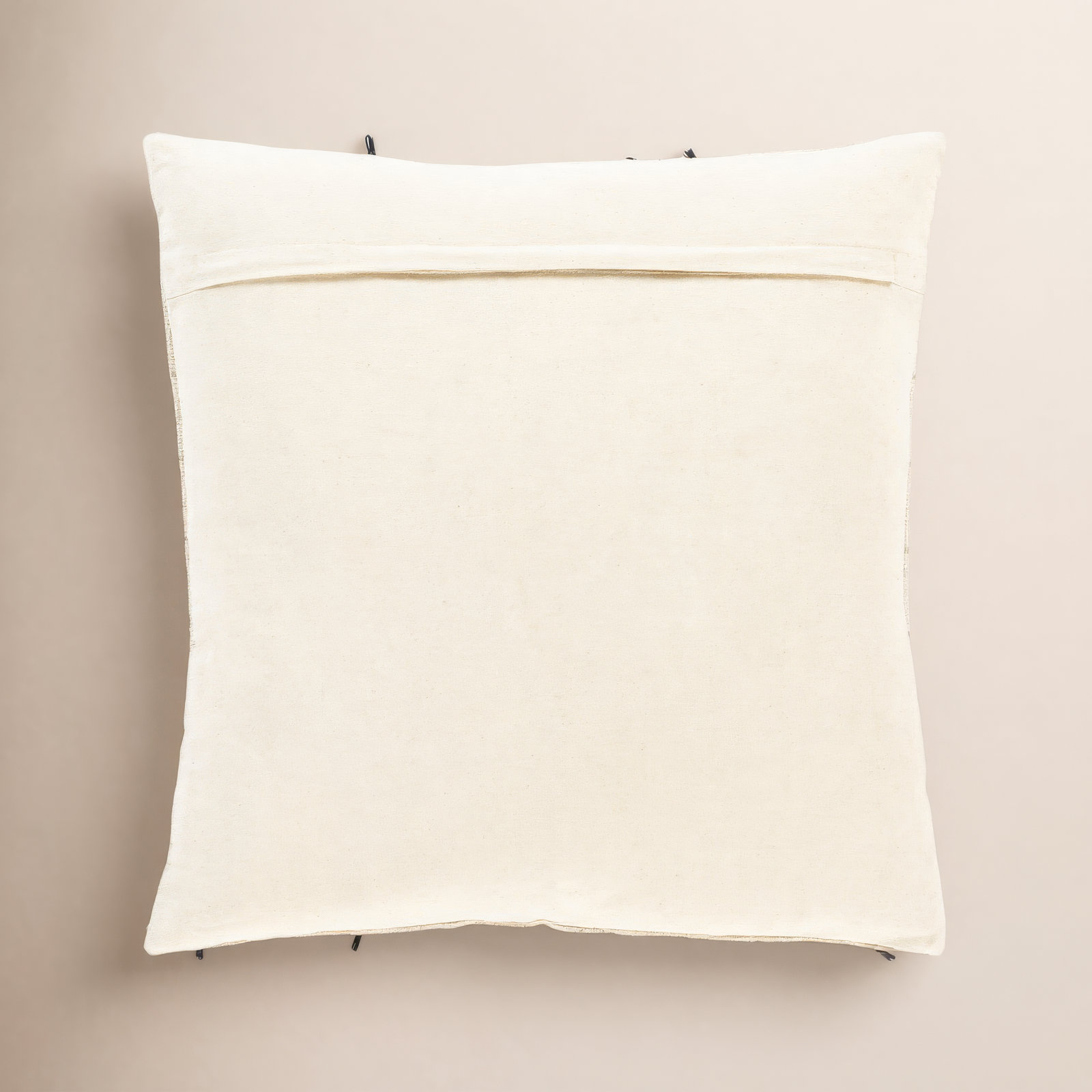 Santina Tassels Cotton Throw Pillow, 22" x 22", Polyester/Polyfill