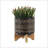 S/2 5/8" GLAZED PLANTER W/ STAND, BLACK