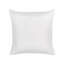 CALDERINA Indoor / Outdoor Square Cushion