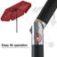 Holmquist parasol-303353549-400481529