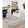 Sagefield Oriental Indoor Rug