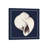 Coastal Shell I With Border Navy-2048278059