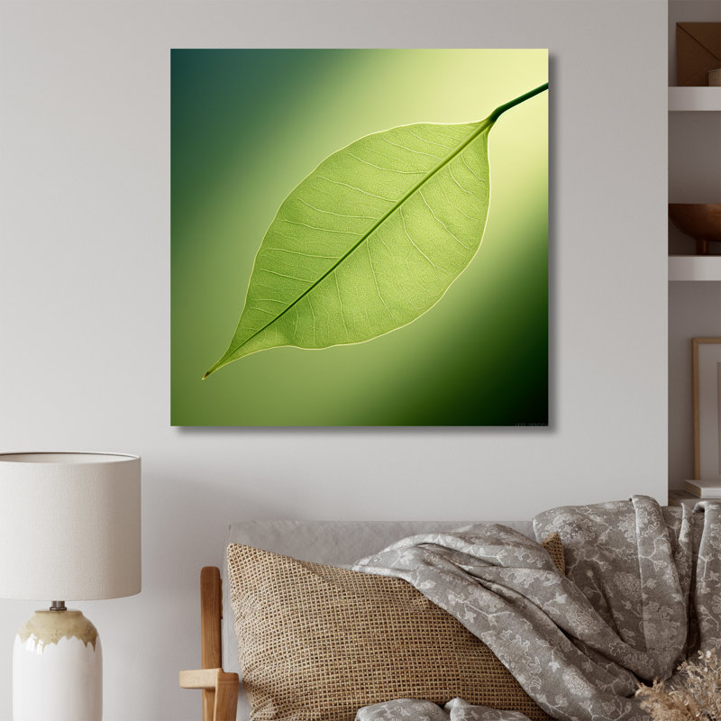 «Lime Lightness Leafy Minimalisme I - Feuilles», impressions sur toile, Toile tendue, H 36 po x l 36 po x P 1,5 po