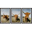 Triptyque de cornes-1091517132