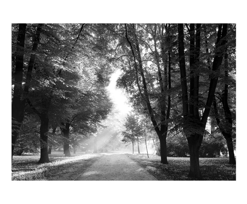 Wall Mural, 68" L x 98" W
