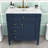 Clista Bathroom Vanity with Top Sink and 2 Drawers and a Tip-out Drawer-1074704928