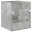 Bathroom Vanity with Basin-234307560