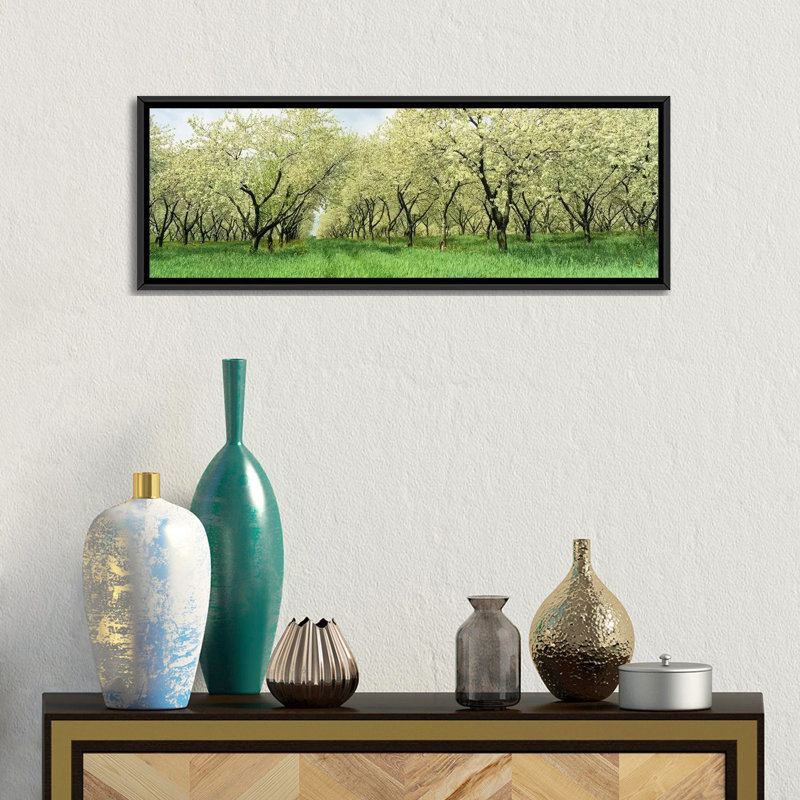 Rows of Cherry Tress in an Orchard, Minnesota - reproduction d'art sur toile tendue, H 16 po x l 48 po x P 1,5 po