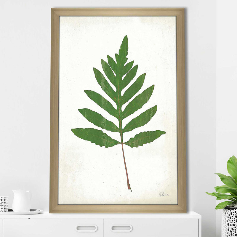 «Chalkboard Fern Green I» par Sue Schlabach - impression, Encadrement champagne, H 27,5 po x l 21,5 po x P 0,75 po