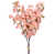 Rose est en rupture de stock