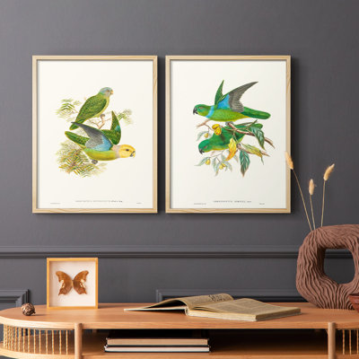 Lime&CeruleanParrotsI-Premium Framed Print -Ready to Hang - No Nails Required - No Nails Required