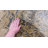 Adagio Oriental Indoor Rug-2140933324