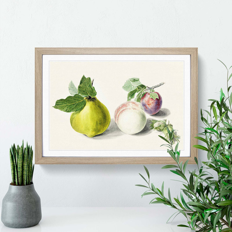 Pear & Plum by E.G. Van De Kasteele - Picture Frame Painting Print, 62cm H x 87cm W x 2cm D, Oak Framed