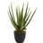 Aloe Artificial Plant (Set of 2)
