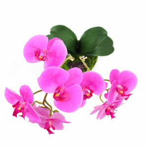 23" Vintage Real Touch Fuchsia Life-like Orchid with Amethyst Gem Stones in White Pot