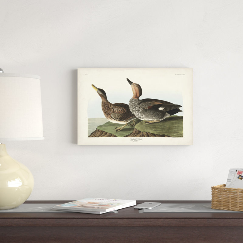 Pl 348 Galdwell Duck, H 12 po x l 18 po