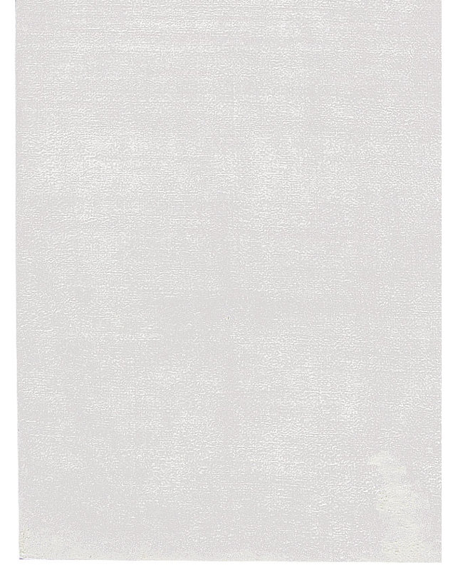 Tapis blanc de haute qualité noué à la main