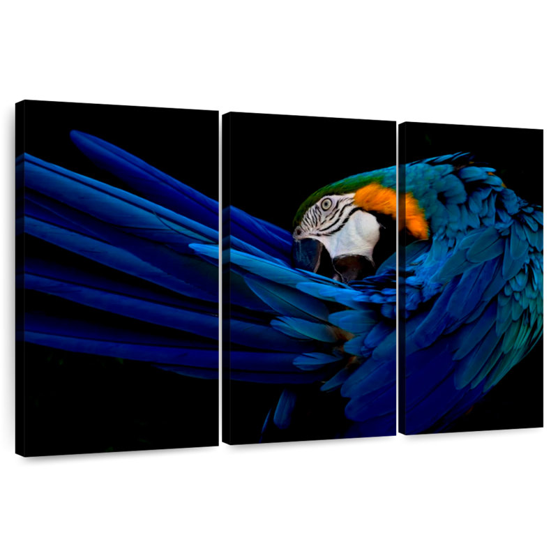 Brampt Majestic Macaw, 32" H x 50" W