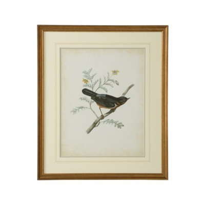 Delicate Birds III Print