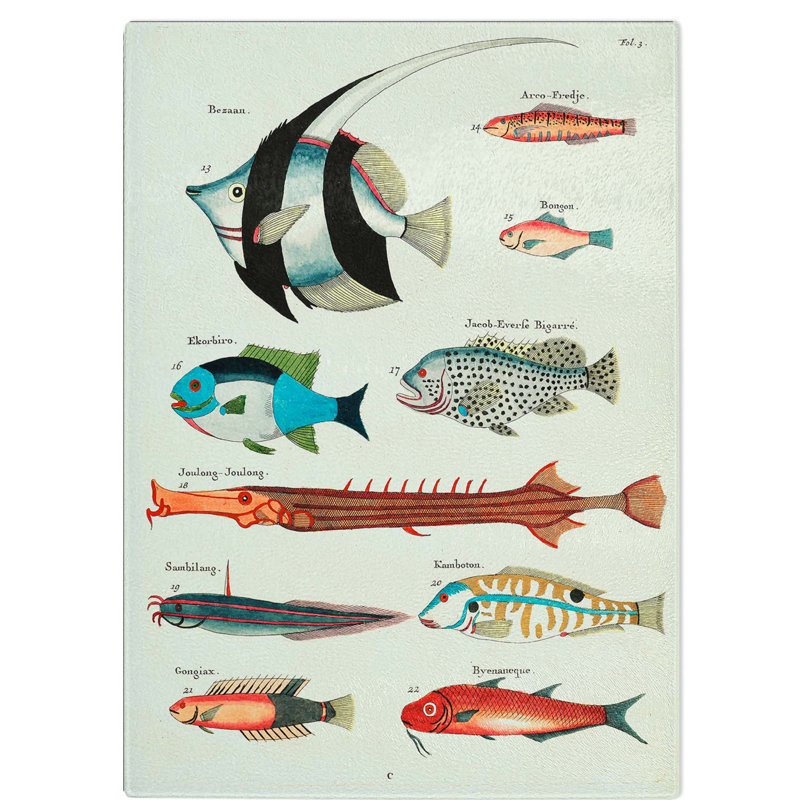 Glass East indies Fish Illustrations Fol. 3 by Louis Renard Chopping Board, 39 cm W x 28.5 cm L
