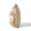 Coussin Bearly-107792313