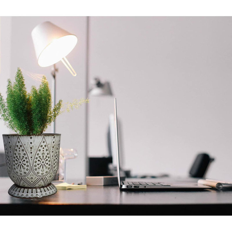 Ceramic Pot Planter