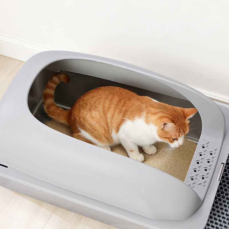 Litière pour chat en acier inoxydable avec couvercle, pelle et tapis, L 24 po x l 15,8 po x H 11,8 po, Gris clair