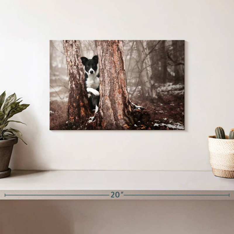 Brampt Playful Border Collie, 8'' H x 12'' W