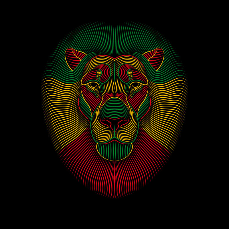 Rasta Lion by Aleksei Elkin - Wrapped Canvas Print, 76cm H x 76cm W x 3.8cm D