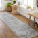 Hoeft Oriental Indoor Rug