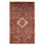 Andelz Copper Rug 4'0" x 6'9"