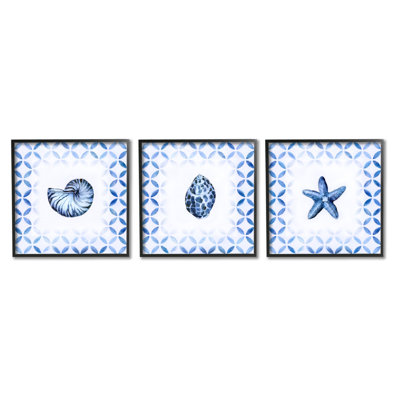 Nautilus, spirale, coquille d'étoile de mer, bleu, aquatics, cercle, ensemble de 3 impressions