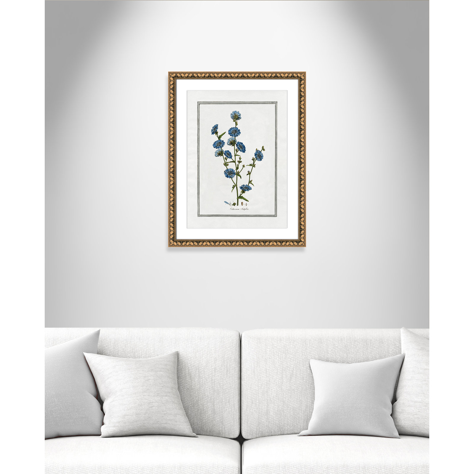 Colombe "Soft Botanical I" Print, Gold Bead Framed, 18" W x 24" H