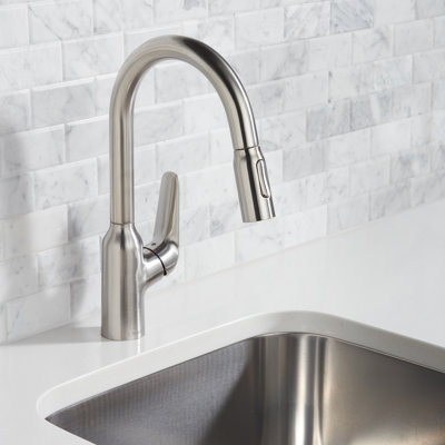 Focus N Prep Kitchen Faucet with 2-Spray Pull-Down, 1.75 GPM