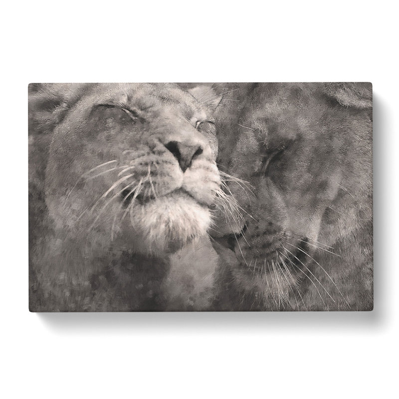 Pair Of Loving Lions - Wrapped Canvas Print, 40cm H x 60cm W x 3cm D