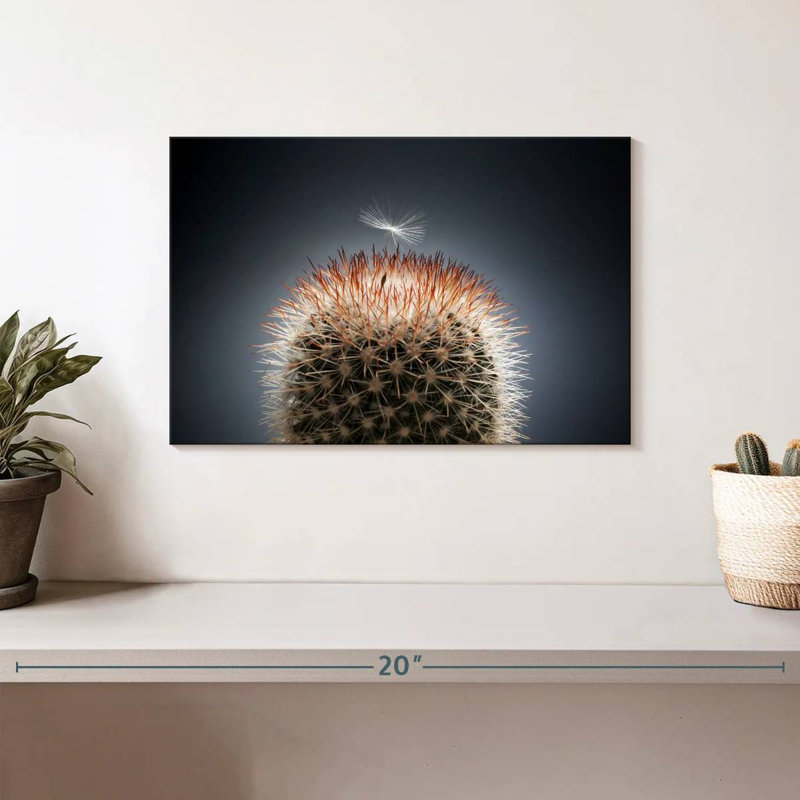 Harnek, graines de pissenlit sur cactus, H 8 po x l 12 po
