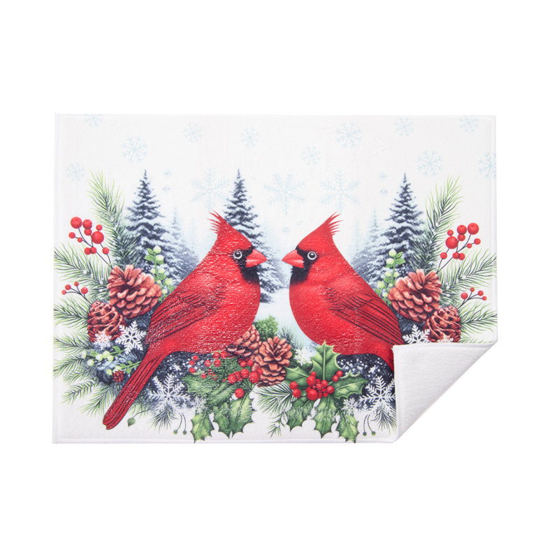 Tapis de séchage en microfibre double cardinal - ensemble de 2