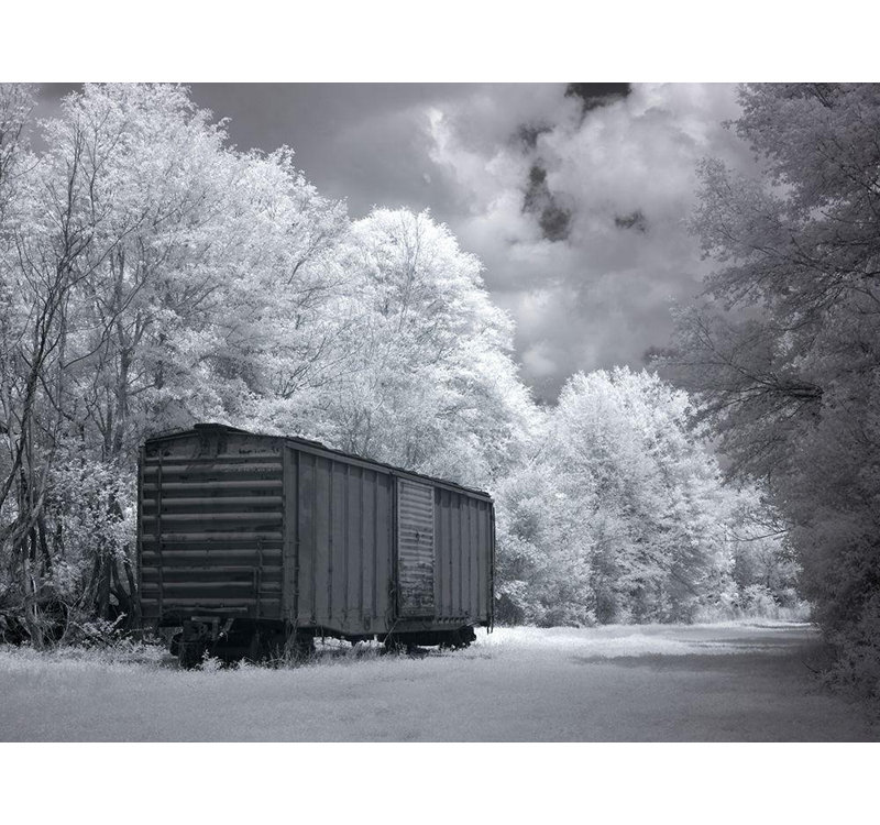 Alcott Hill®, galerie de photos de l'Alabama, H 28 po x l 36 po