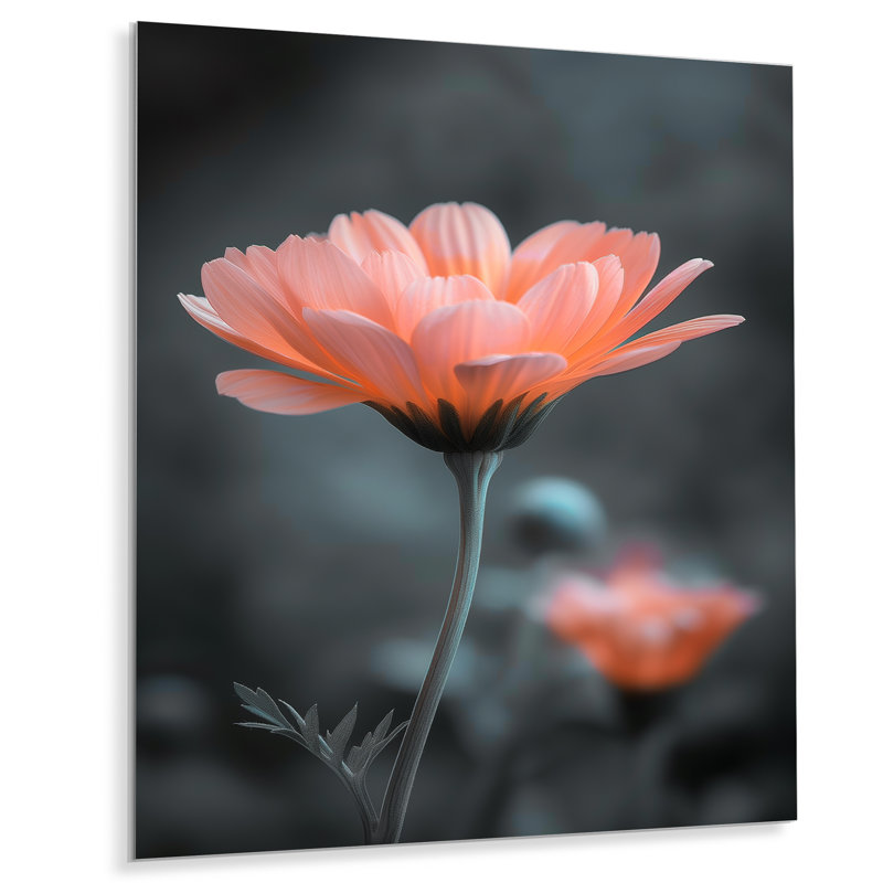 Photo de souci botanique rose et gris - souci mural, salon, Sans cadre, métal, H 16 po x l 32 po