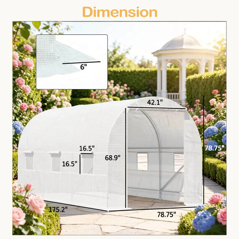Garden Hot House, serre de tunnel, serre stable, structure robuste